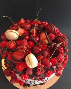 Ovocn_dort_okol_dov_s_logem