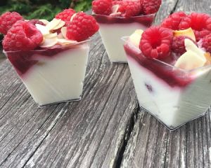 Panna_cotta_s_malinami